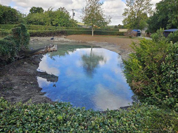 POND RESTORATION NEAR IPSWICH